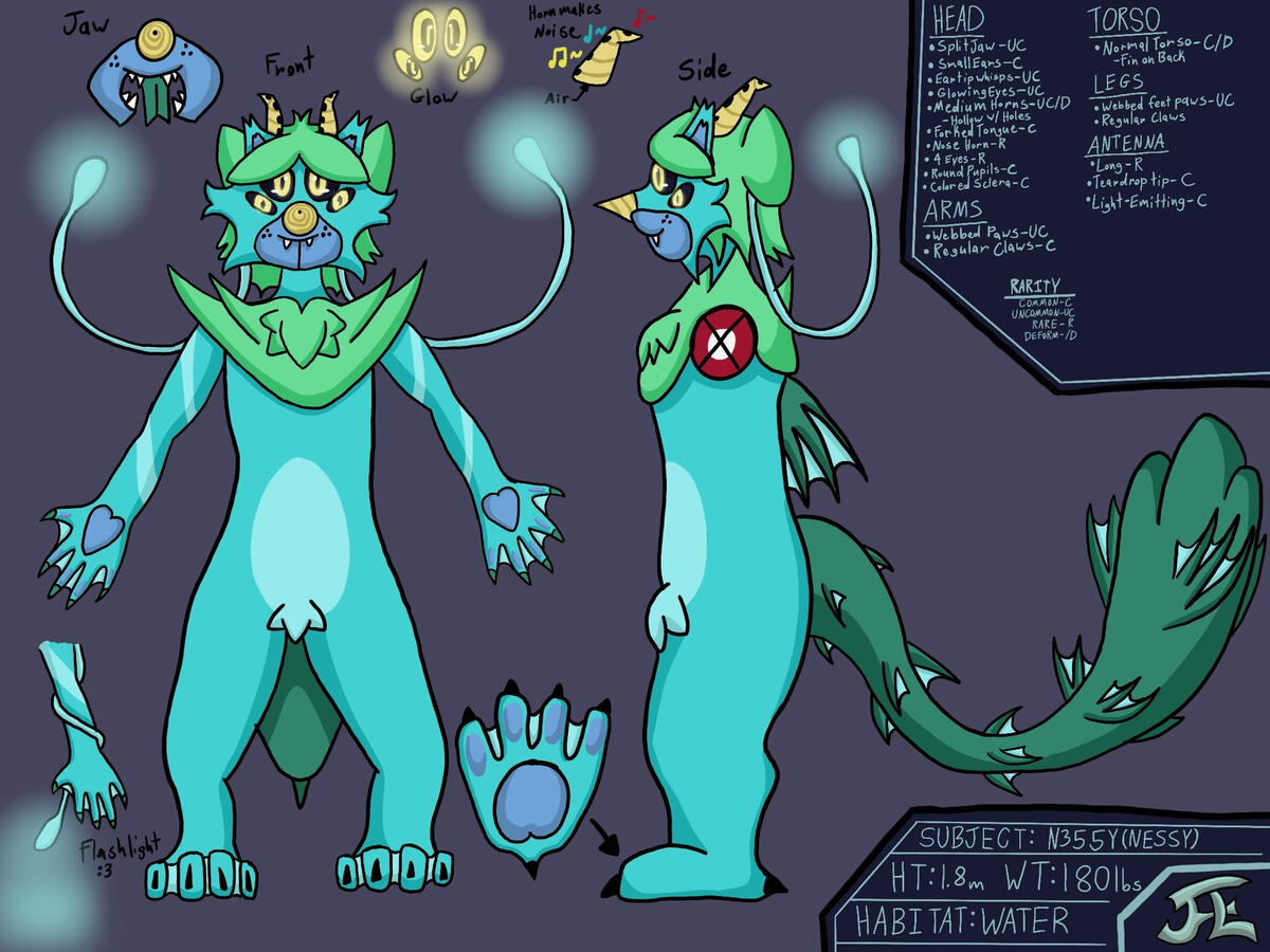 Nessy (N355Y) - Niff