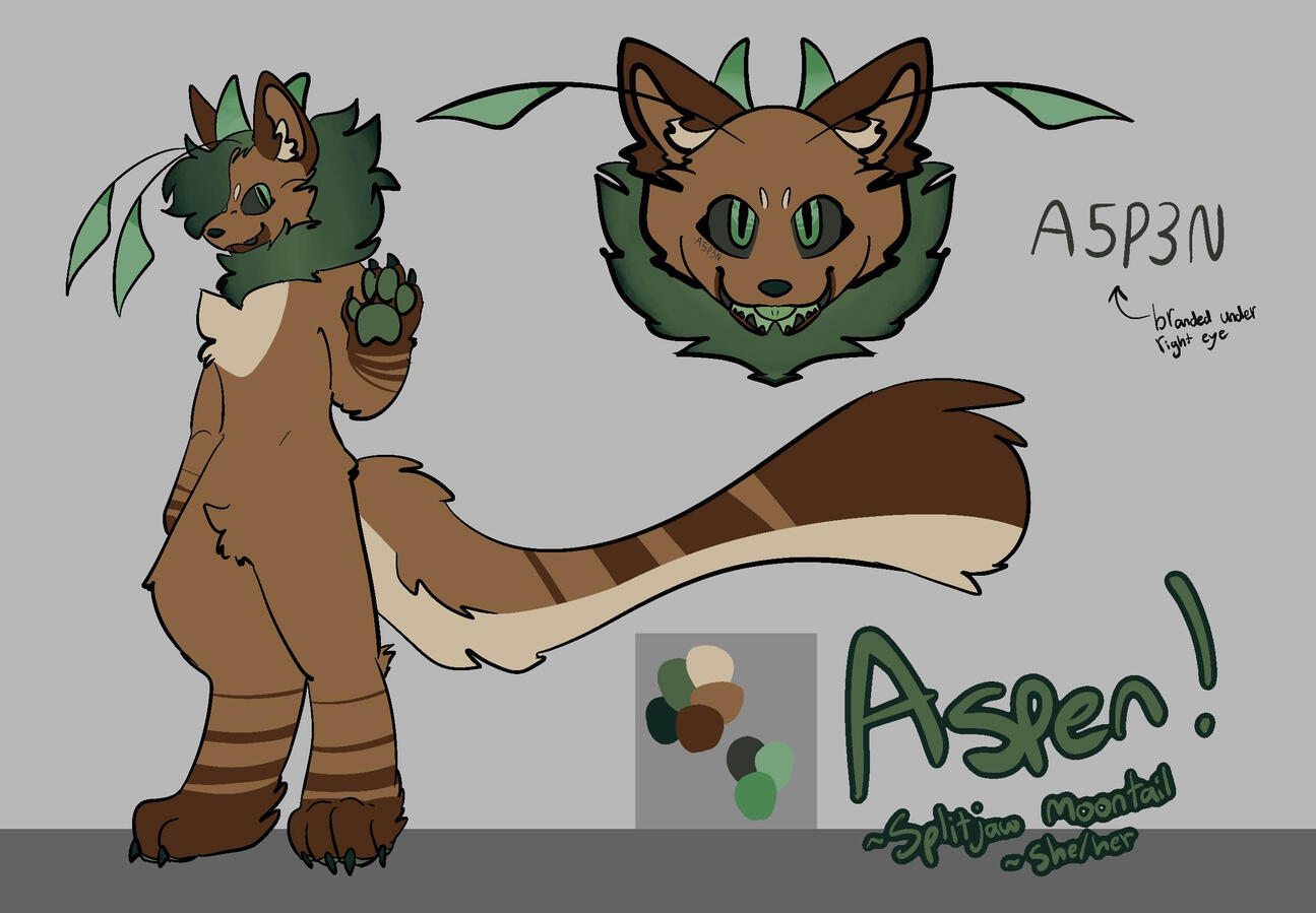 Aspen (A5P3N) - SageZeph