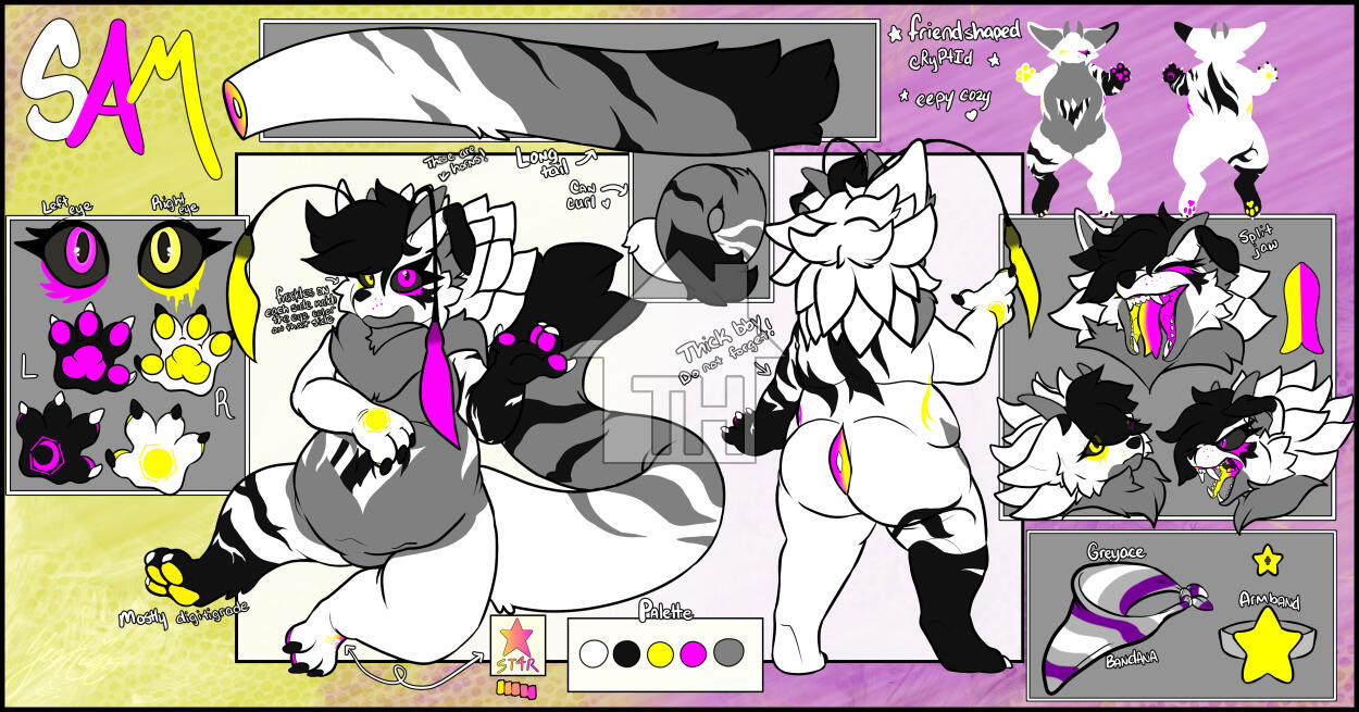 Sam (ST4R) - ItsSamK